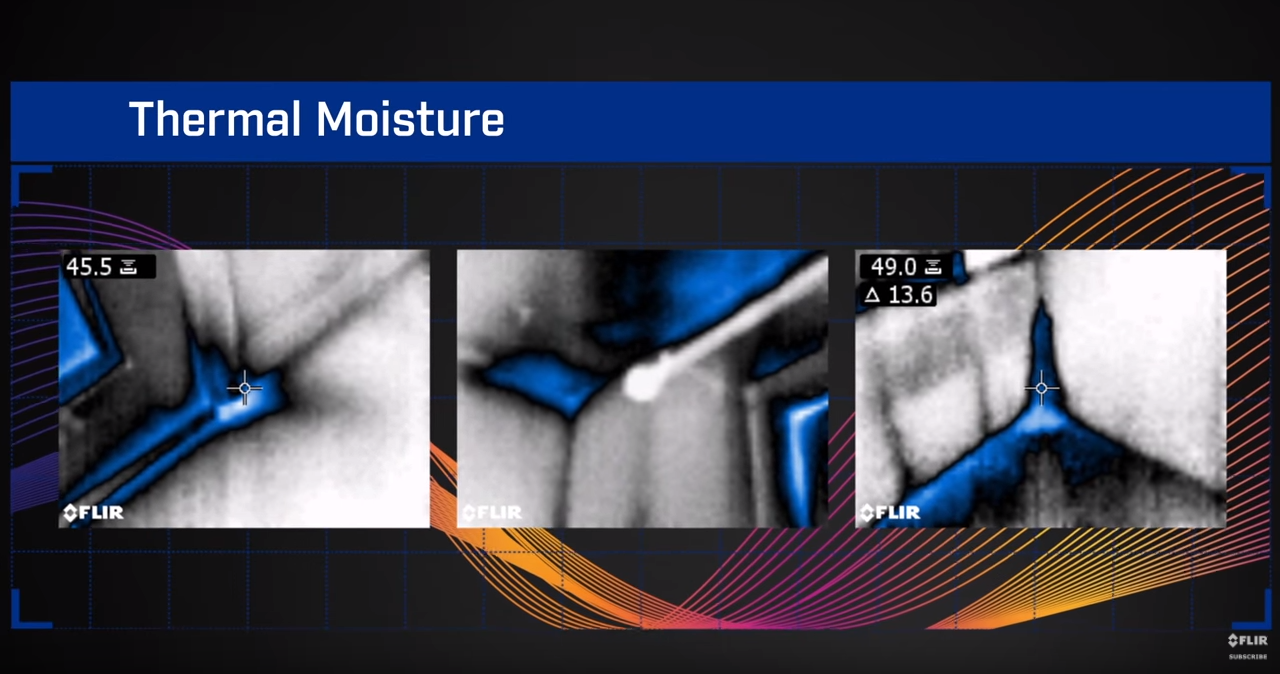 How to Find Moisture Using a Moisture Meter with IGM